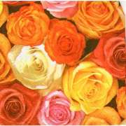 Салфетка для декупажа "Розы оранжевые" малая 25х25 см