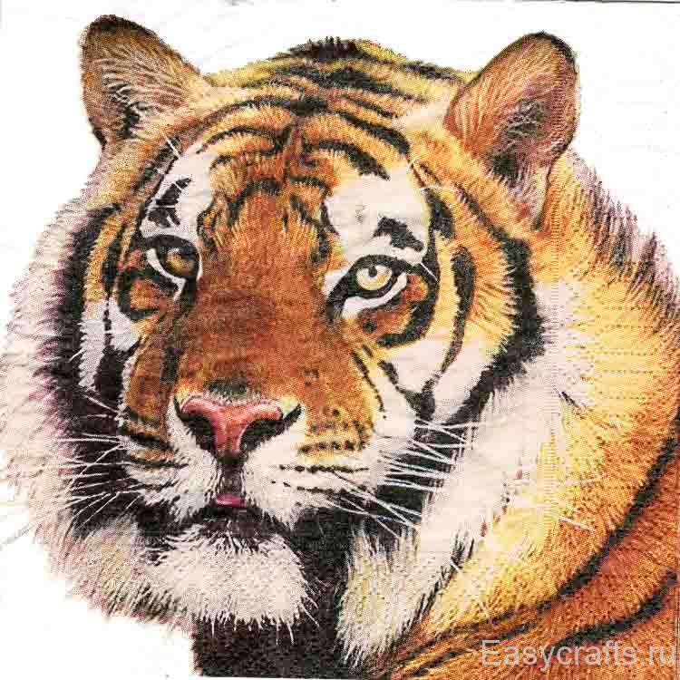 Tigers 33. Схема вышивки тигра бисером. Тигр купается. Тигр 2010. Tigers 33.