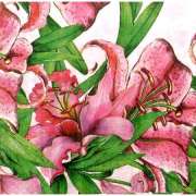 Салфетка для декупажа "Лилии розовые" 33х33 см